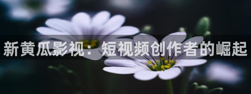 好男人秋霞影院