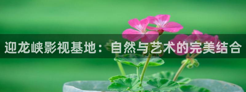 97影院秋霞伦理