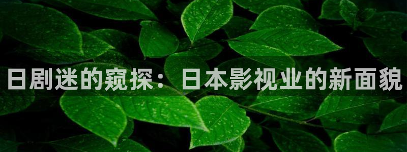 秋霞电影网2018理论：日剧迷的窥探：日本影视业的新面貌