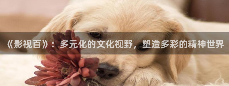 秋霞秋霞午夜影院：《影视百》：多元化的文化视野，塑造多彩的精神世界