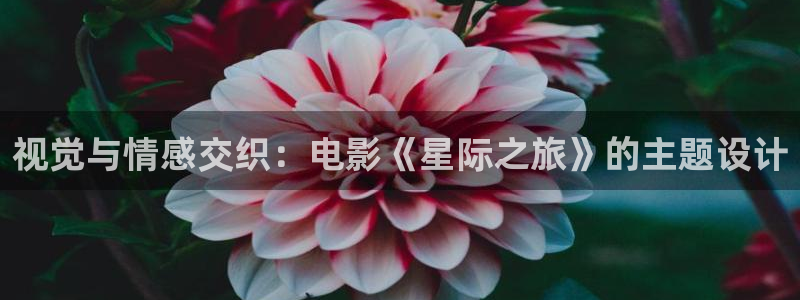 秋霞影院在线播放